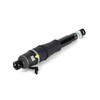 Arnott Air Suspension Strut, As-3066 AS-3066